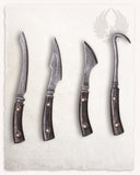 LARP chirurgijnsset Salerno