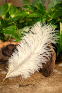 Cream feather, 20-25 cm