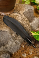 Goose feather black, 15-21 cm