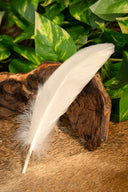 Goose feather white, 15-21 cm