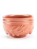 Terra sigillata cup with olive branch