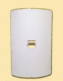 Unpainted Roman scutum