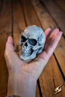 LARP skull, steel colour