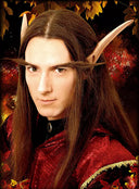 Oreilles d'elfe extra longues