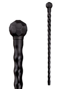 African Walking Stick