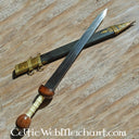 Gladius Noviomagus, Mainz-Fulham, semi-sharp
