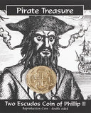 Piratenschat muntenpakket doubloen