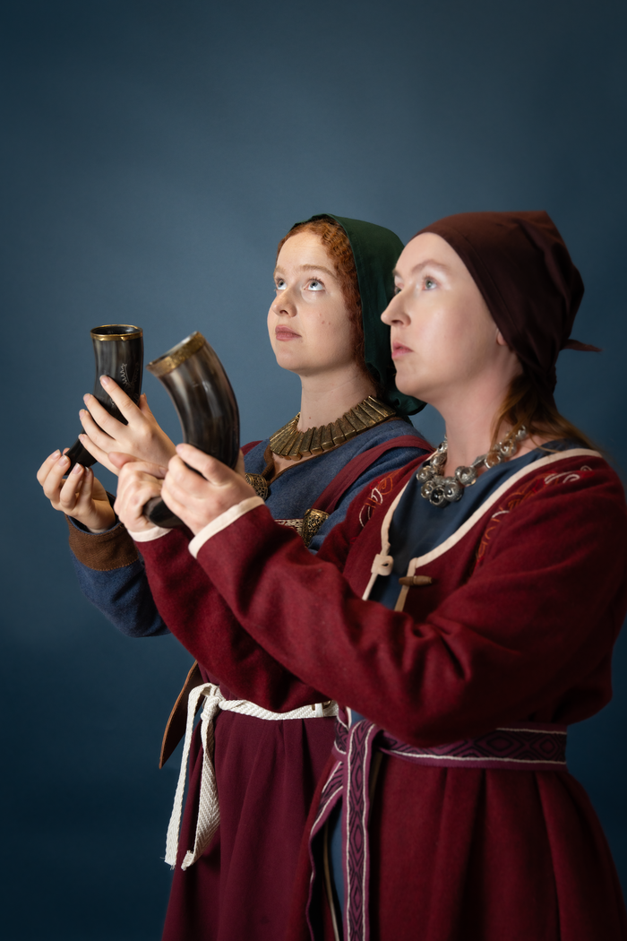 De Dood als Ruststand: Reïncarnatie en Eer bij de Vikingen