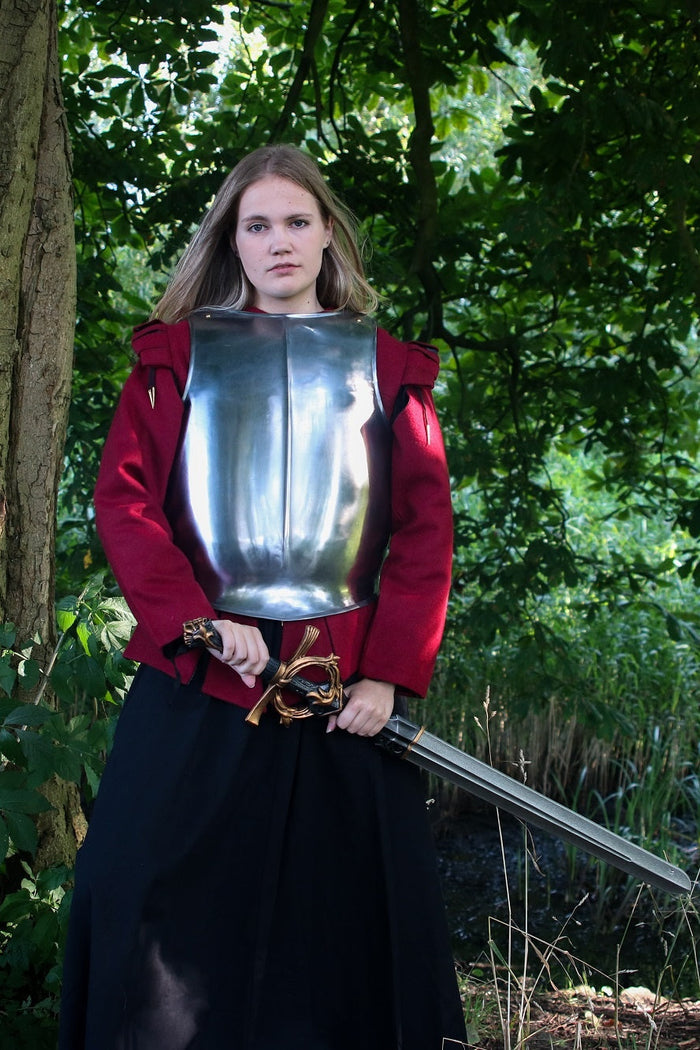 Paladin pantser