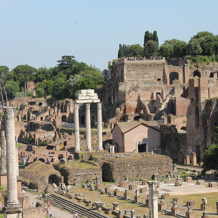 Forum Romanum: het Romeinse verleden