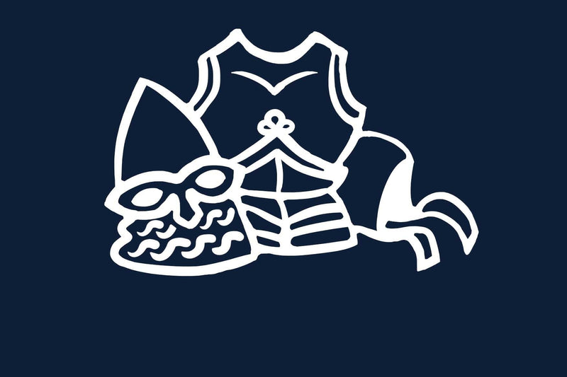 een tekening van een helm, pantser en helmkap