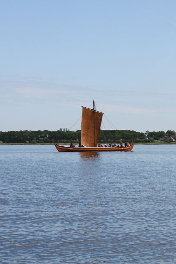 Vikingschip bij Roskilde, Denemarken