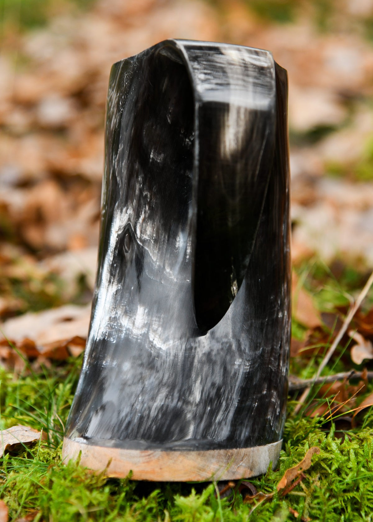 Horn beer mug back