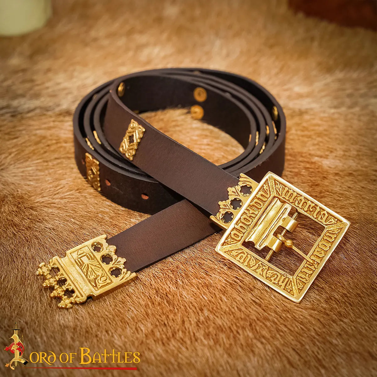 Learn belt Erik van Pommeren met brass batter, brown