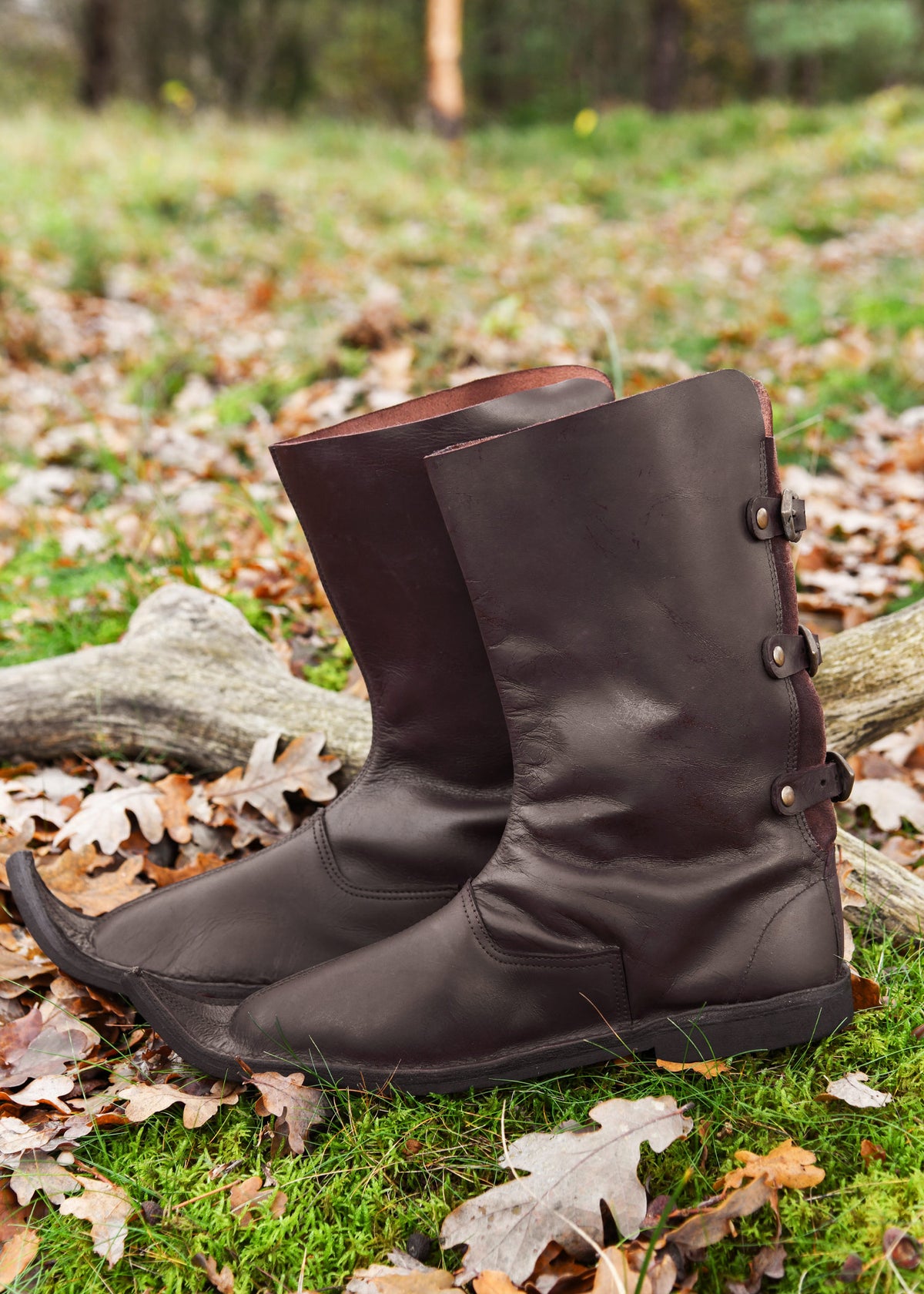 Poulaines, medieval, brown