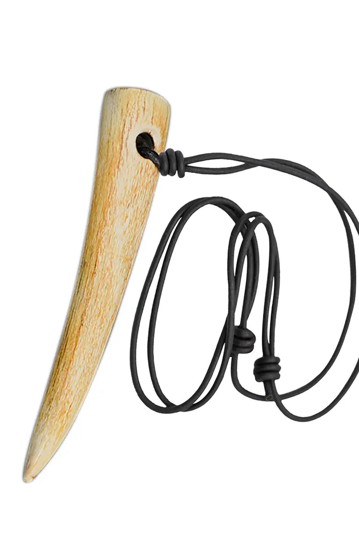 bear toothamulet, horn