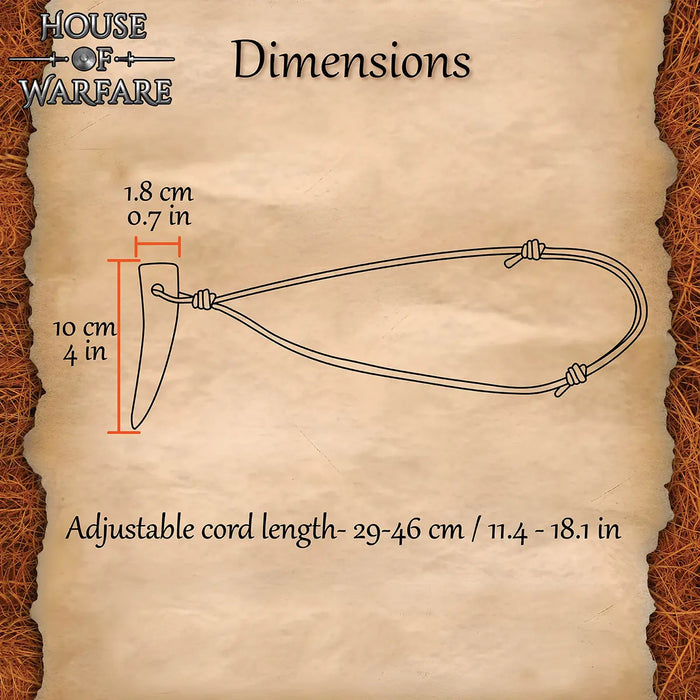 bear toothamulet, horn