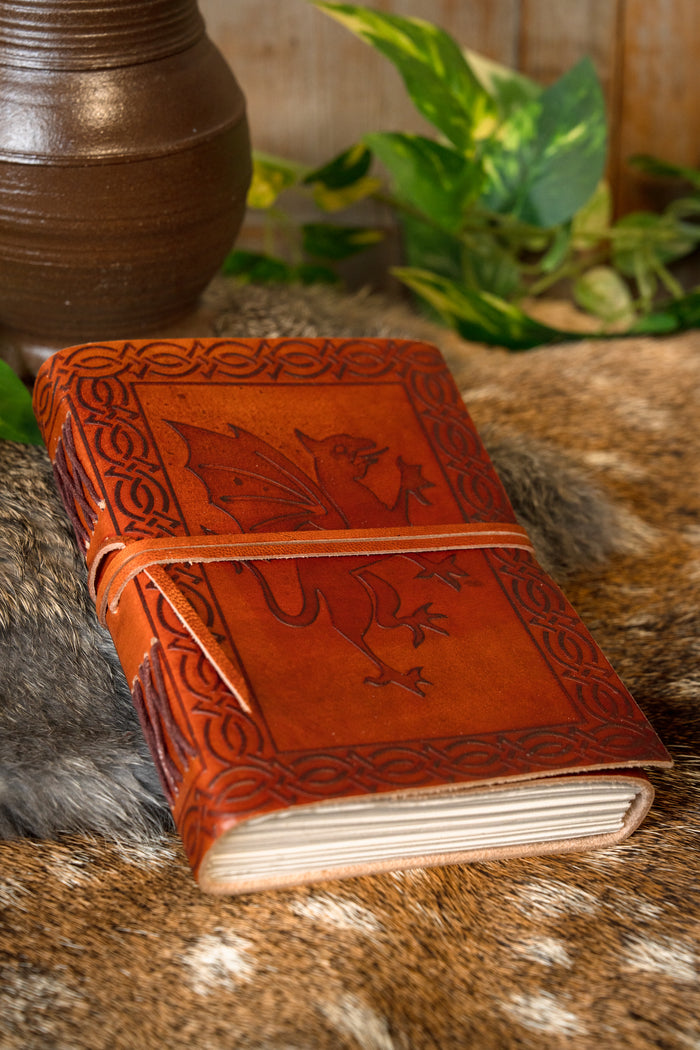 Leather book with dragon