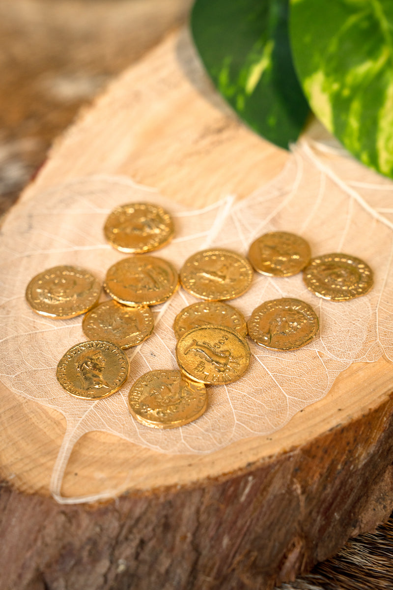 Zestaw rzymskich monet – aureusy