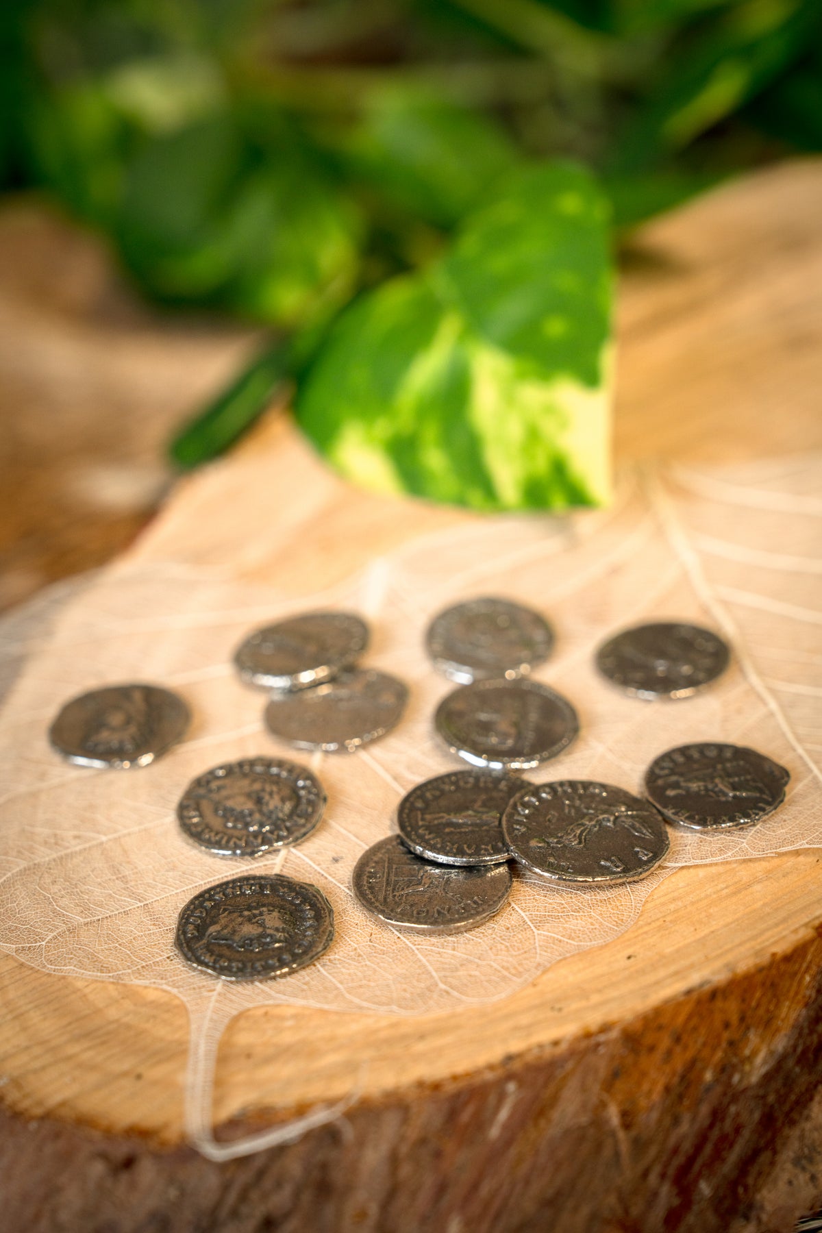 Roman coin set denarii