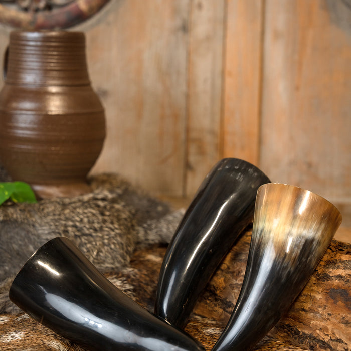 Drinking horn set 100ml
