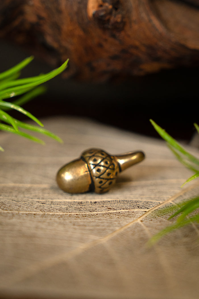 15th century acorn buttons, set of 5 pieces, bronze