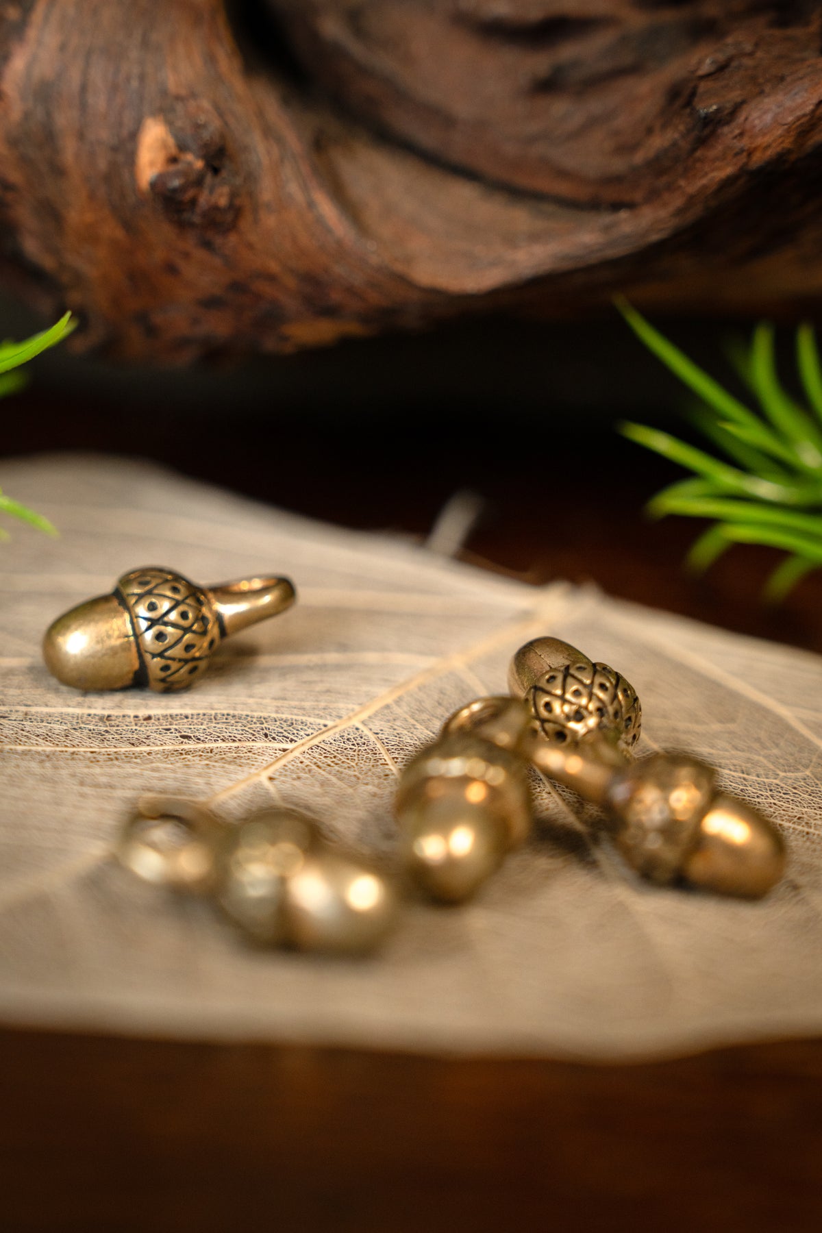 15th century acorn buttons, set of 5 pieces, bronze