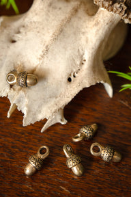 15th century acorn buttons, set of 5 pieces, bronze