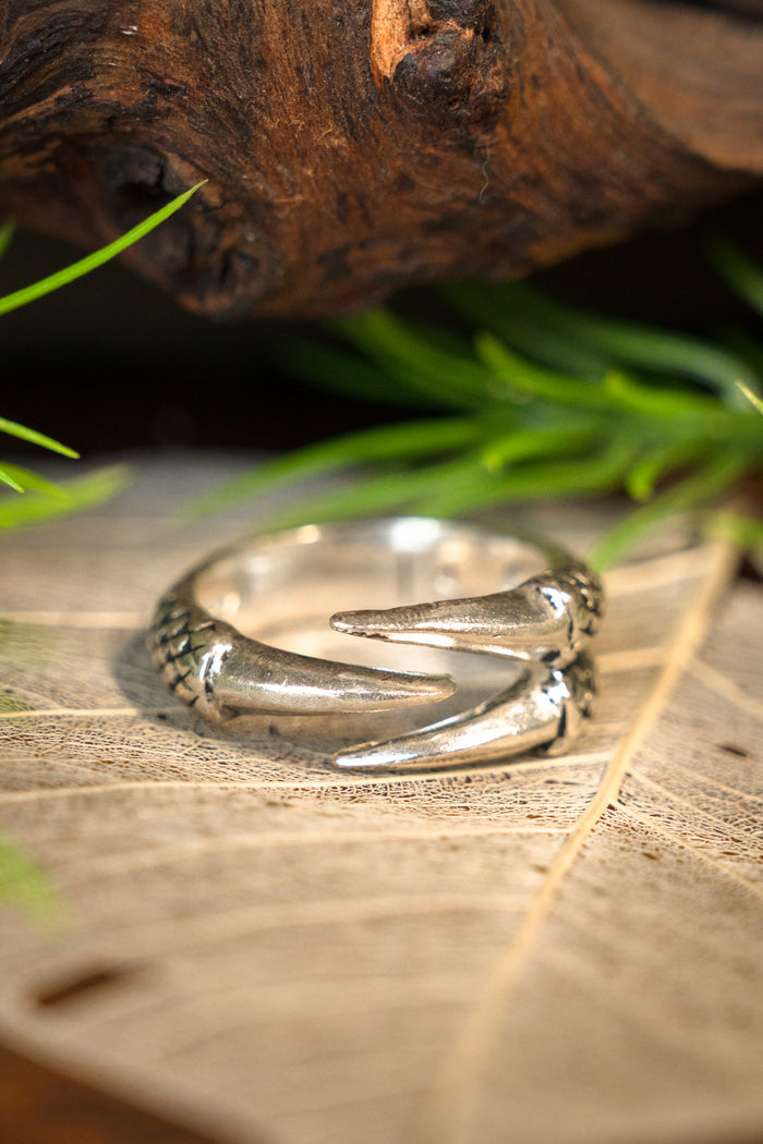 Ring dragon claw, silvered bronze