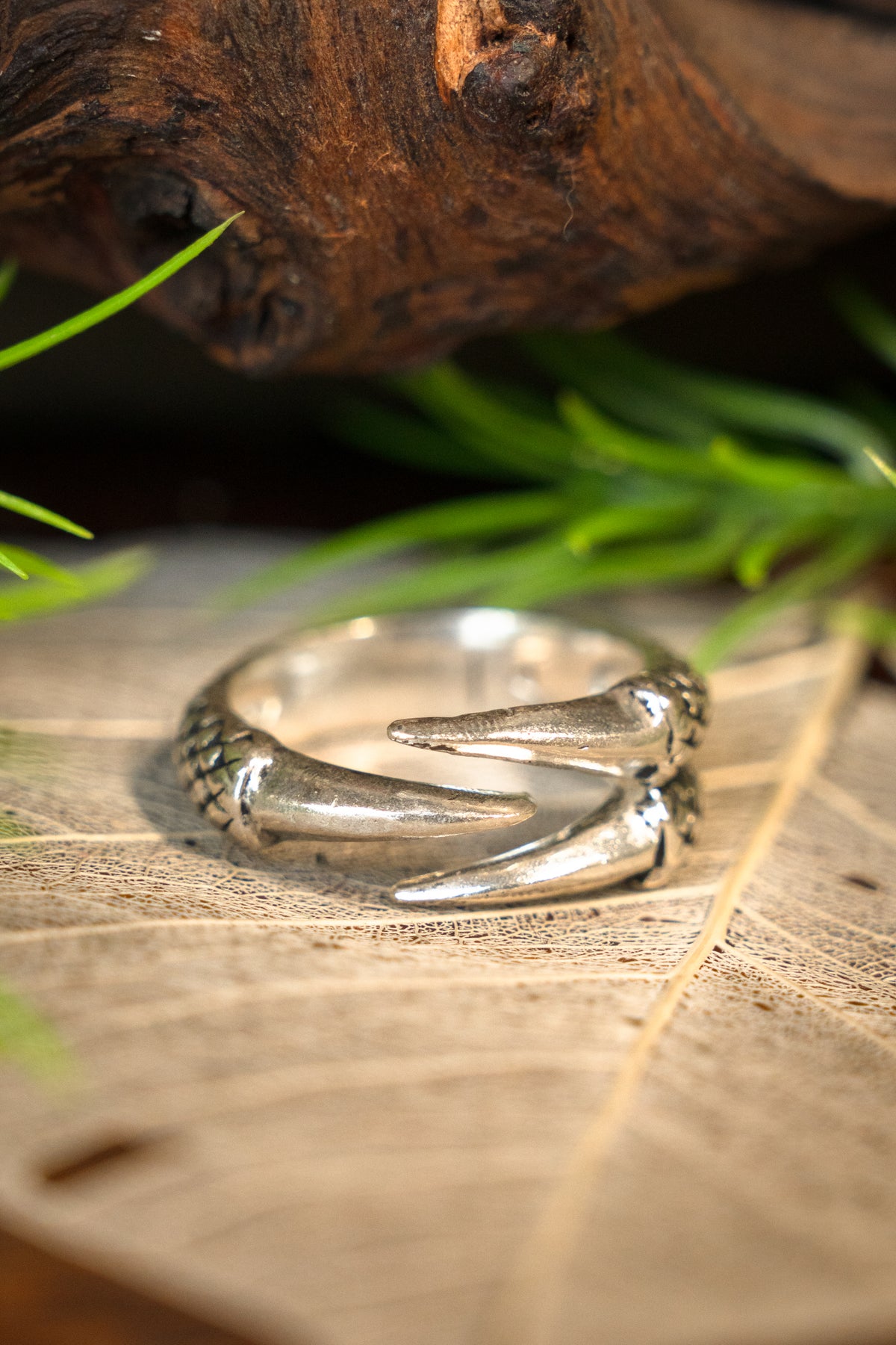 Ring dragon claw, silvered bronze