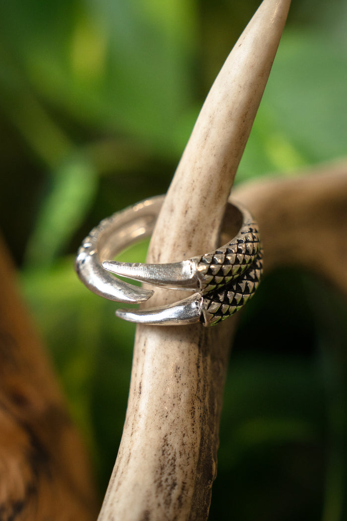 Ring dragon claw, silvered bronze