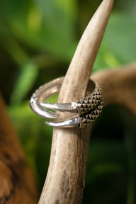 Ring dragon claw, silvered bronze