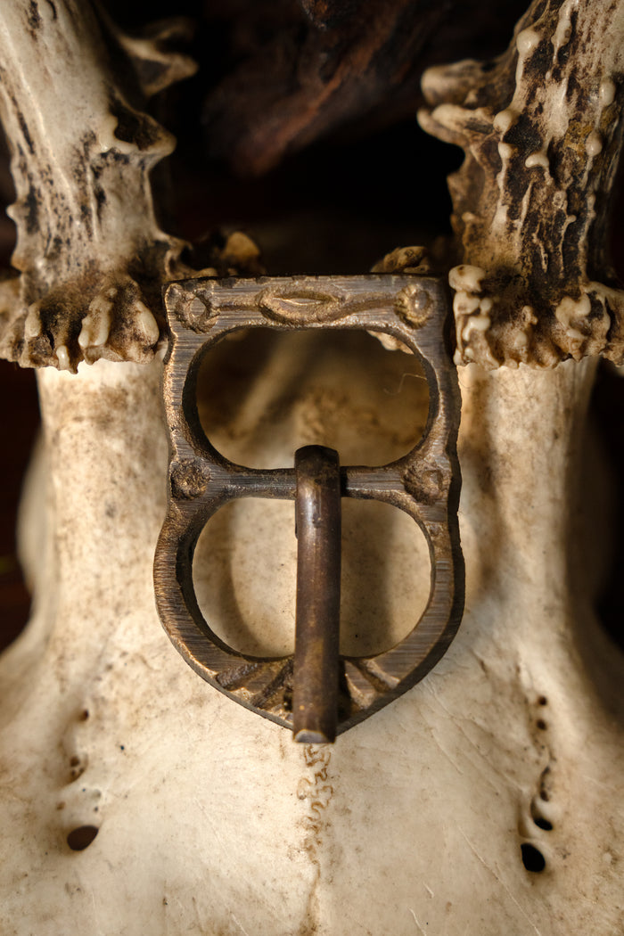 12th century Norman buckle