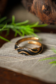 Ring Vendel, bronze