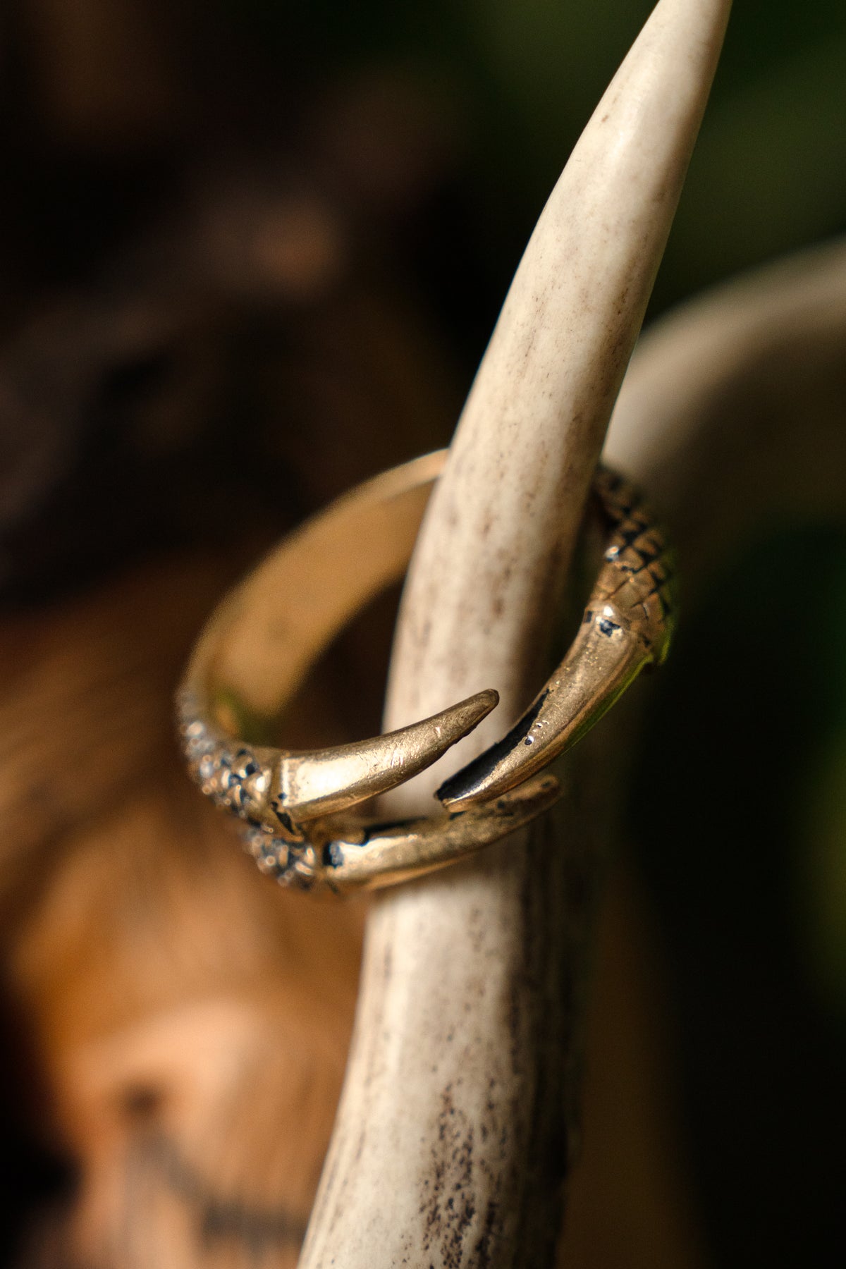 Ring dragon claw, bronze