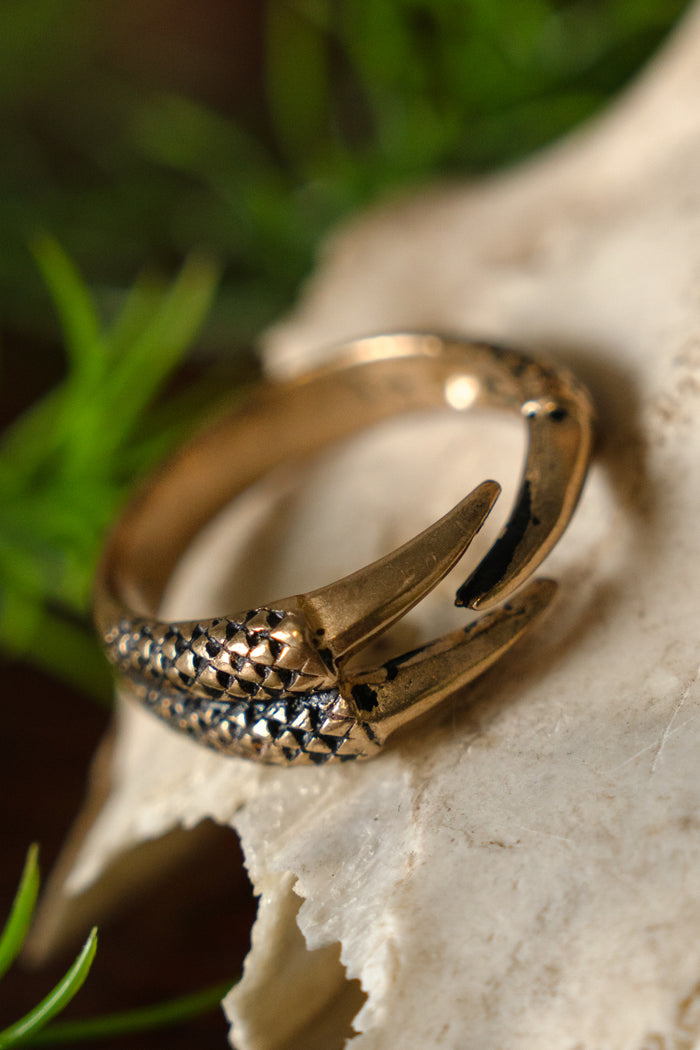 Ring dragon claw, bronze