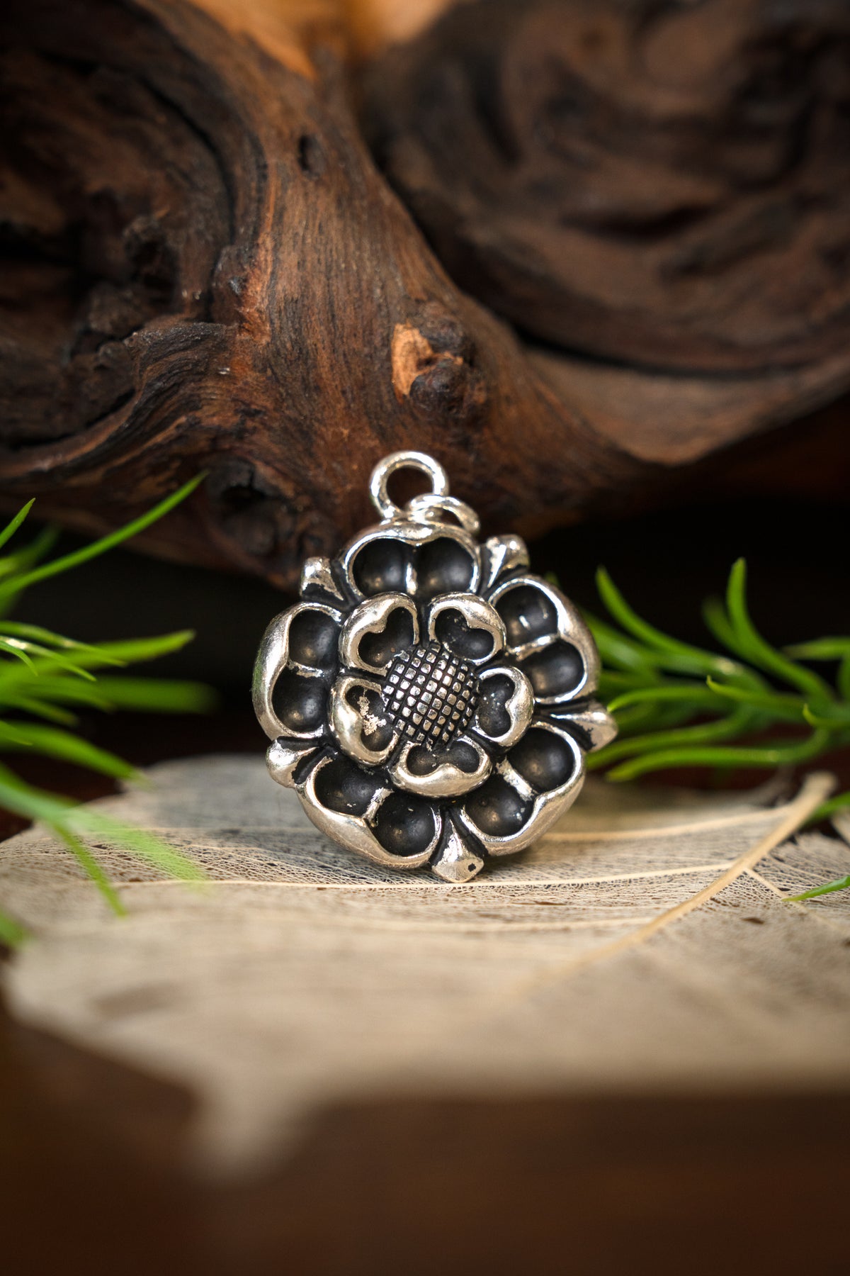 Tudor rose amulet, silvered bronze