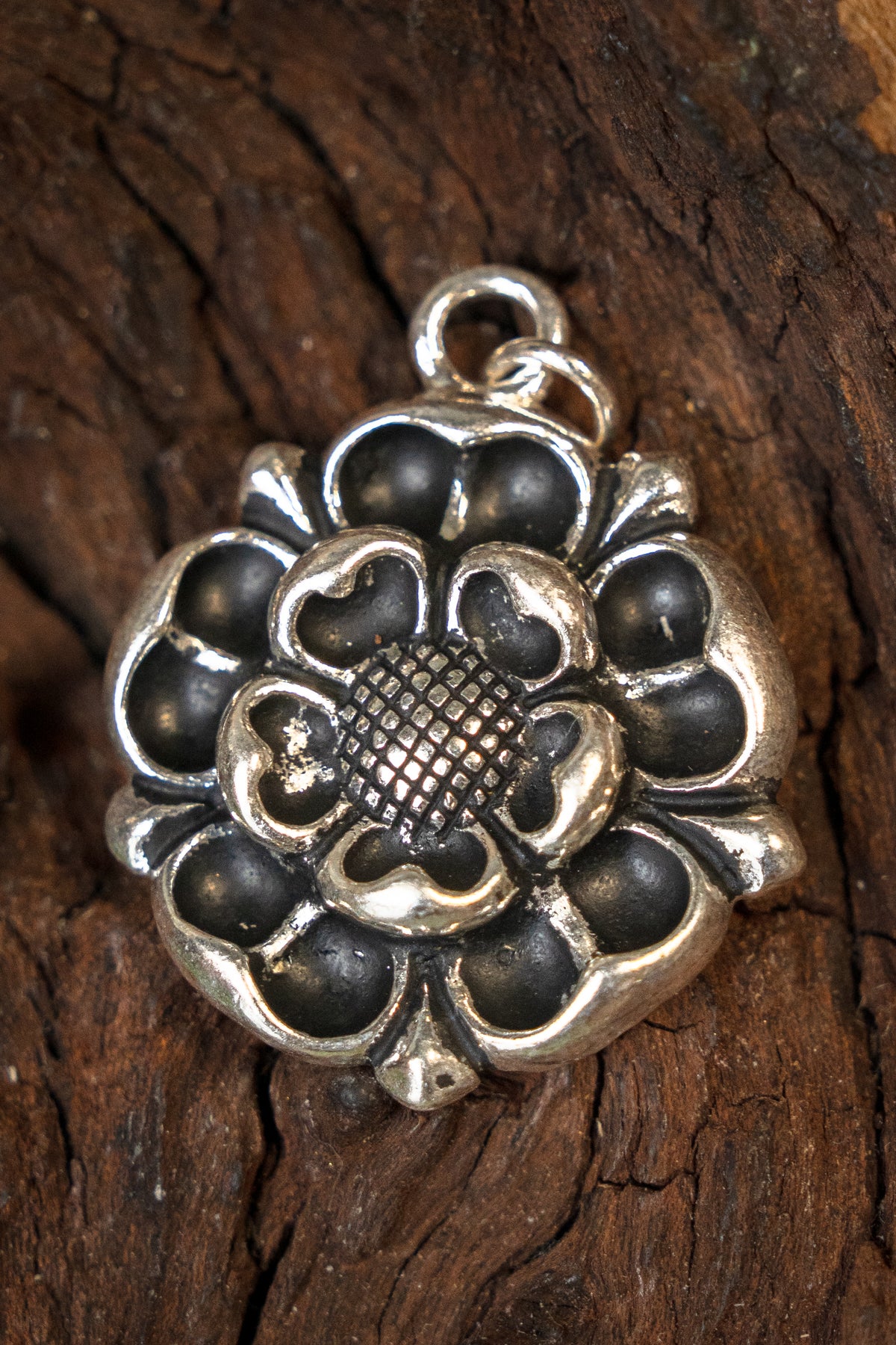Tudor rose amulet, silvered bronze