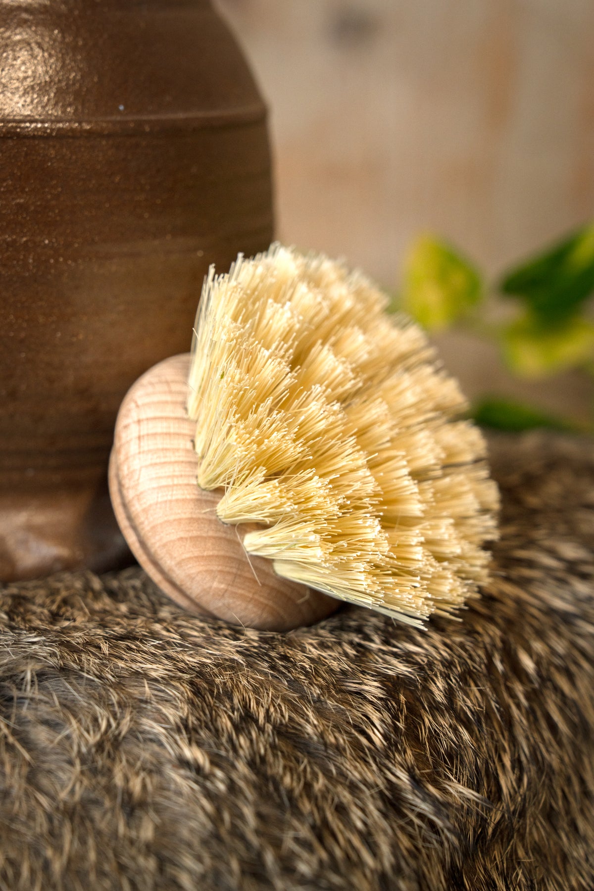 Medieval dish brush