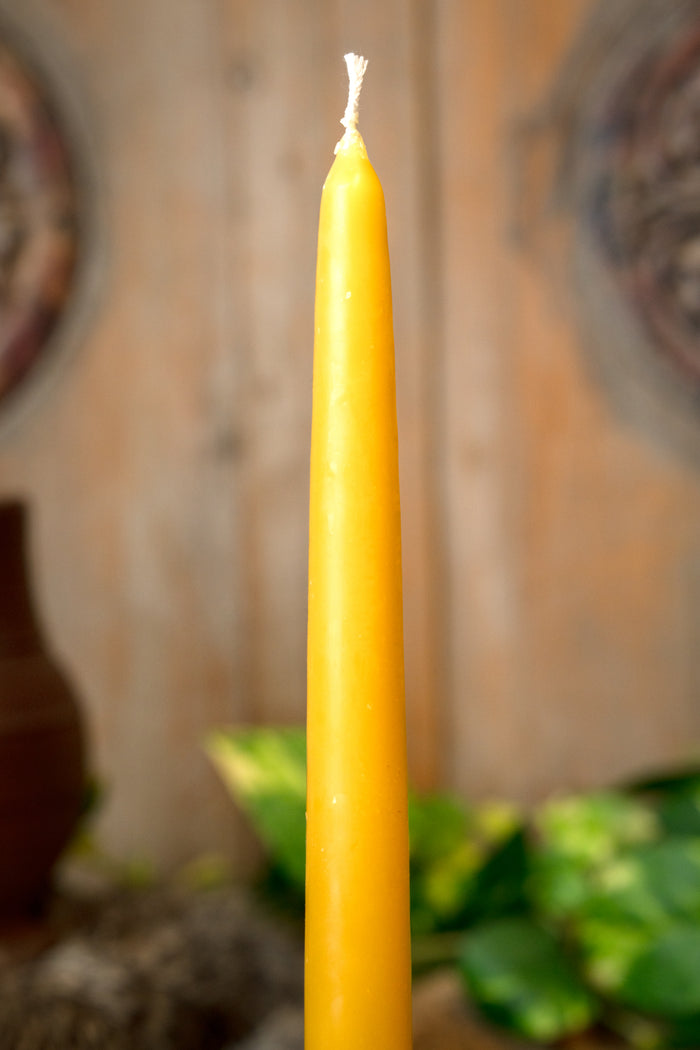 Dipped beeswax candle 30 cm