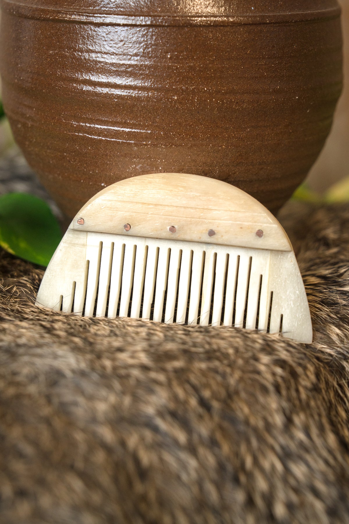 Germanic semicircular comb