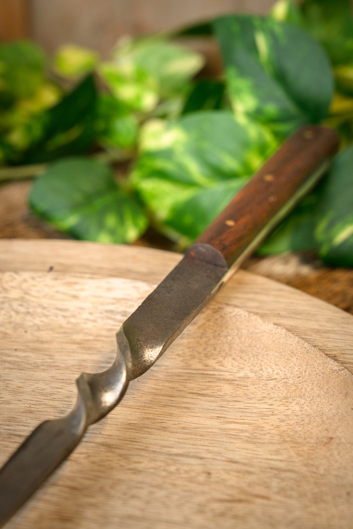 Anselm roasting fork