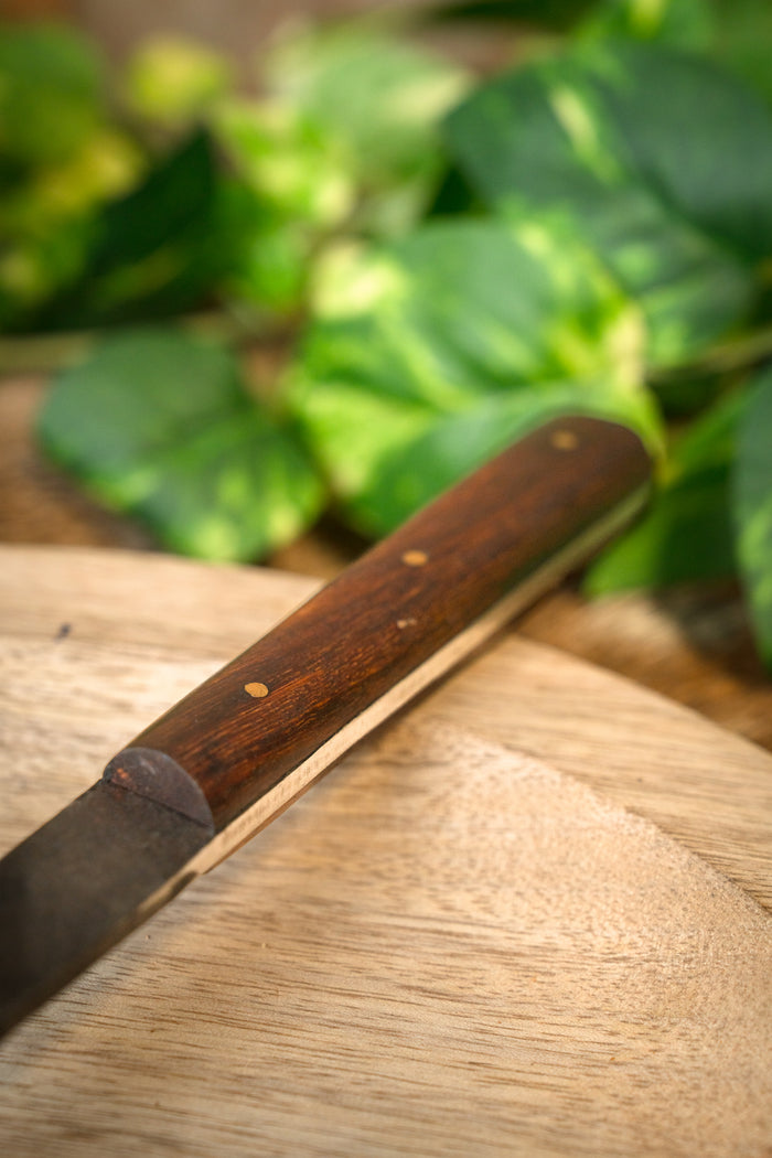 Anselm roasting fork