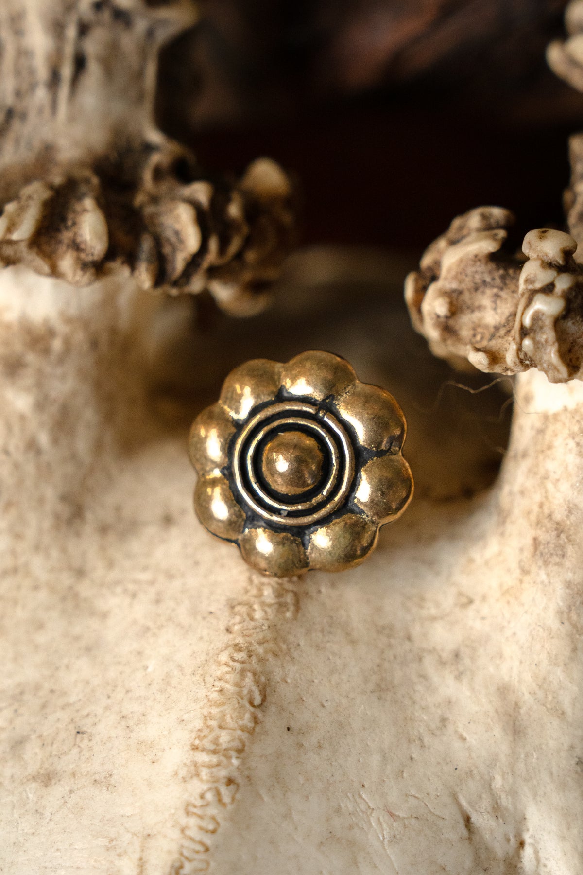17th century belt fitting eight-lobed backplate