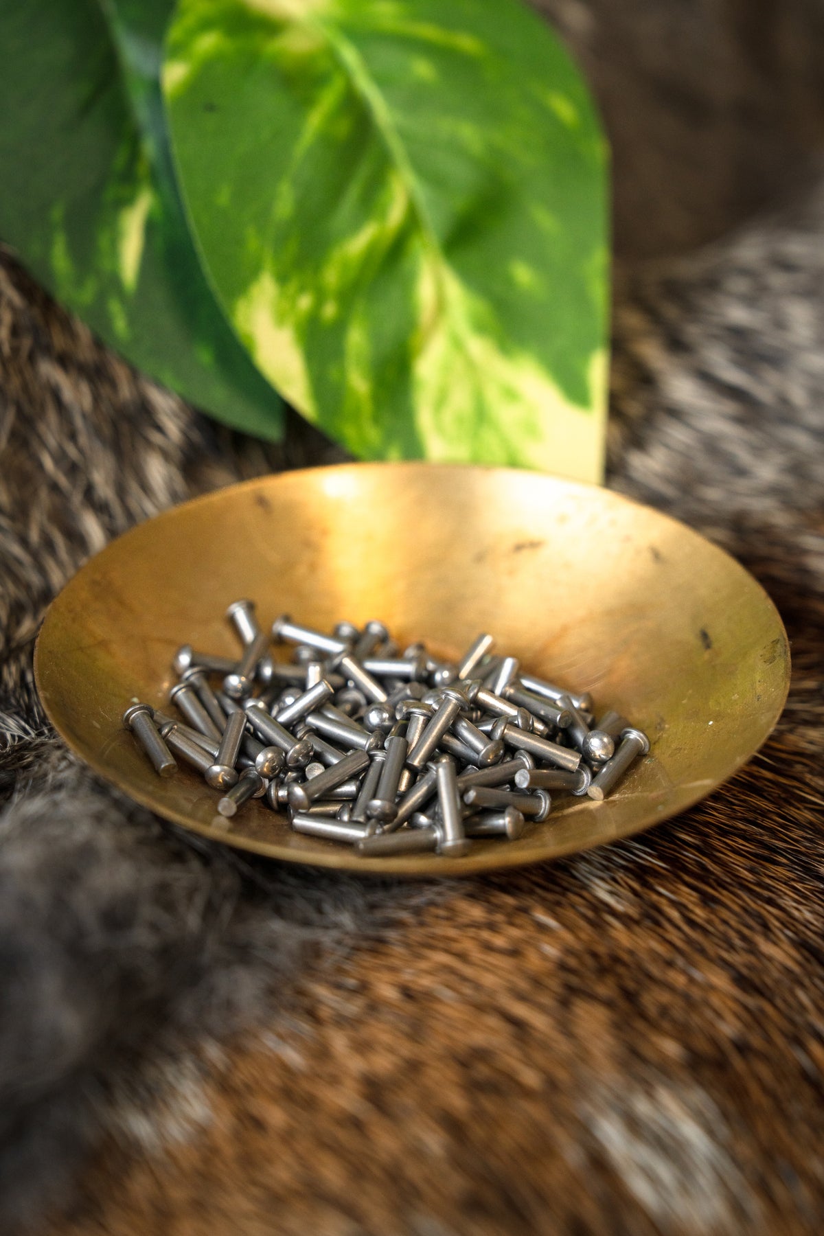 100 steel rivets 8 mm