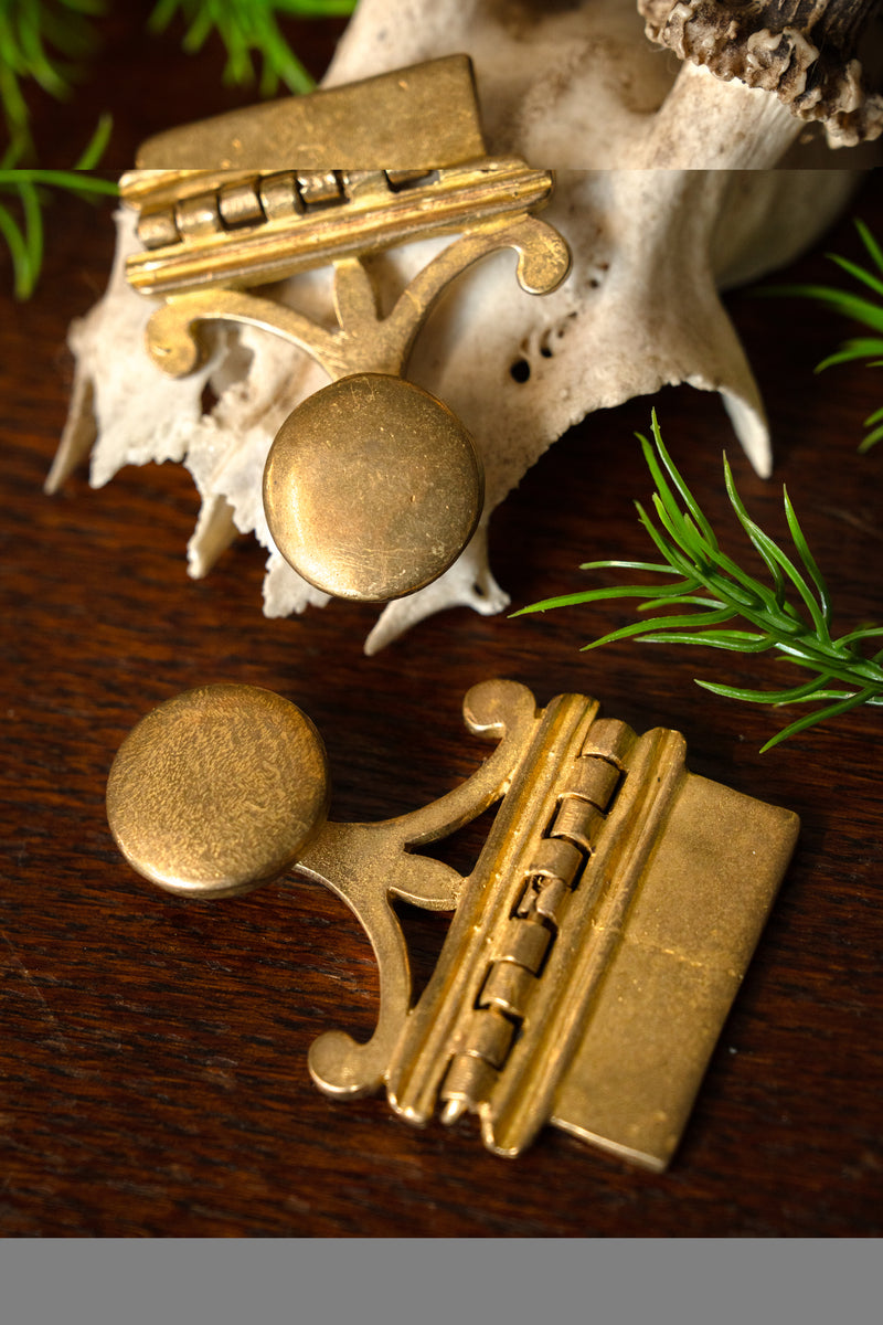 Romerskt bältbeslag, Vindonissa, för pugio, par