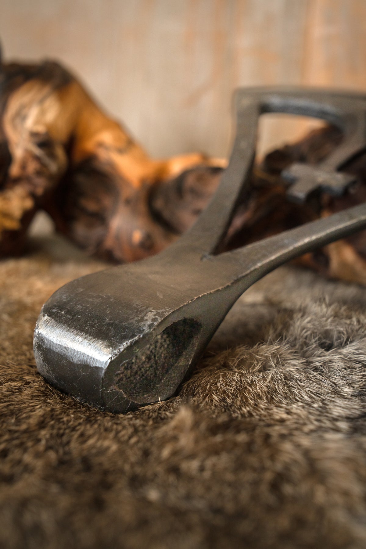 Viking axe head Gotland, blunt (battle-ready)