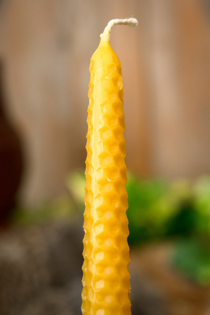Rolled beeswax candle 24 cm, set of 7