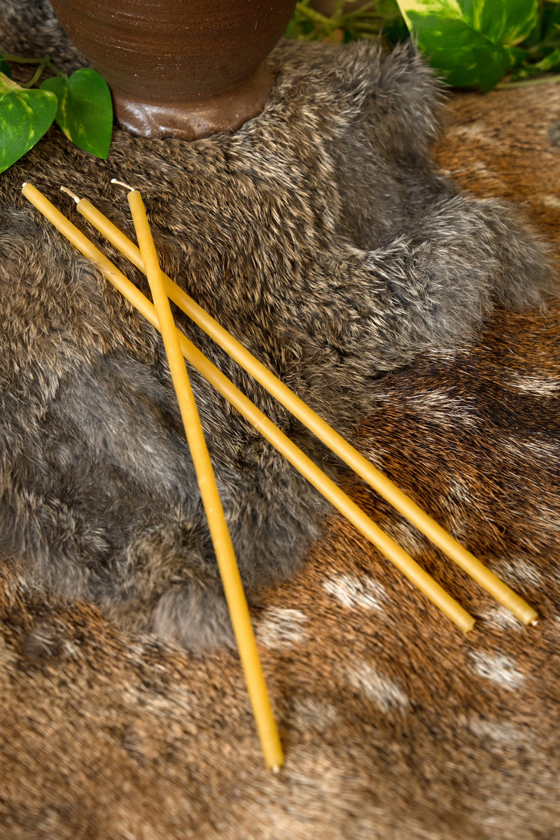 Dipped beeswax candle 25 cm, set of 60