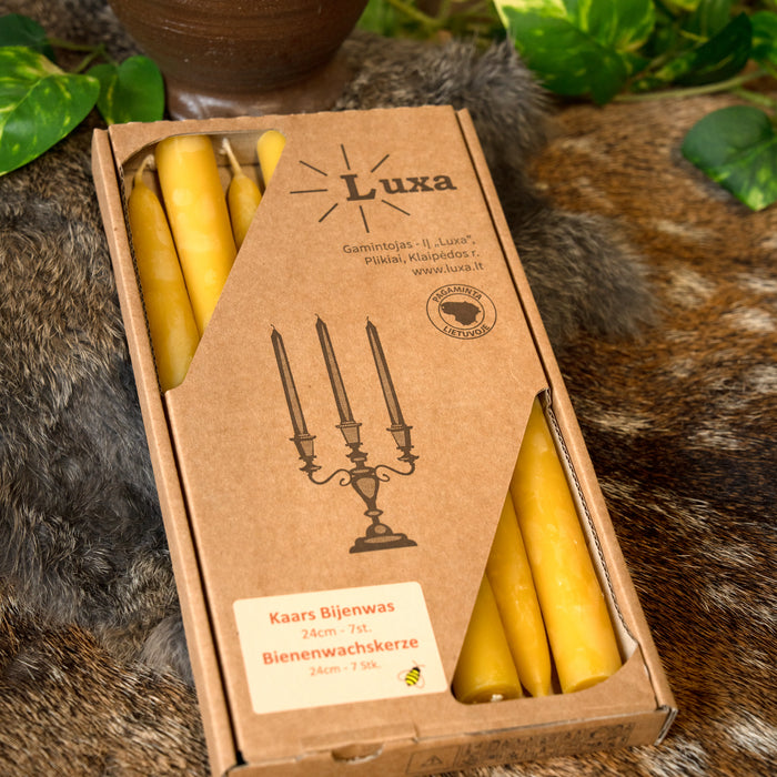 Dipped beeswax candle 24 cm, set of 7